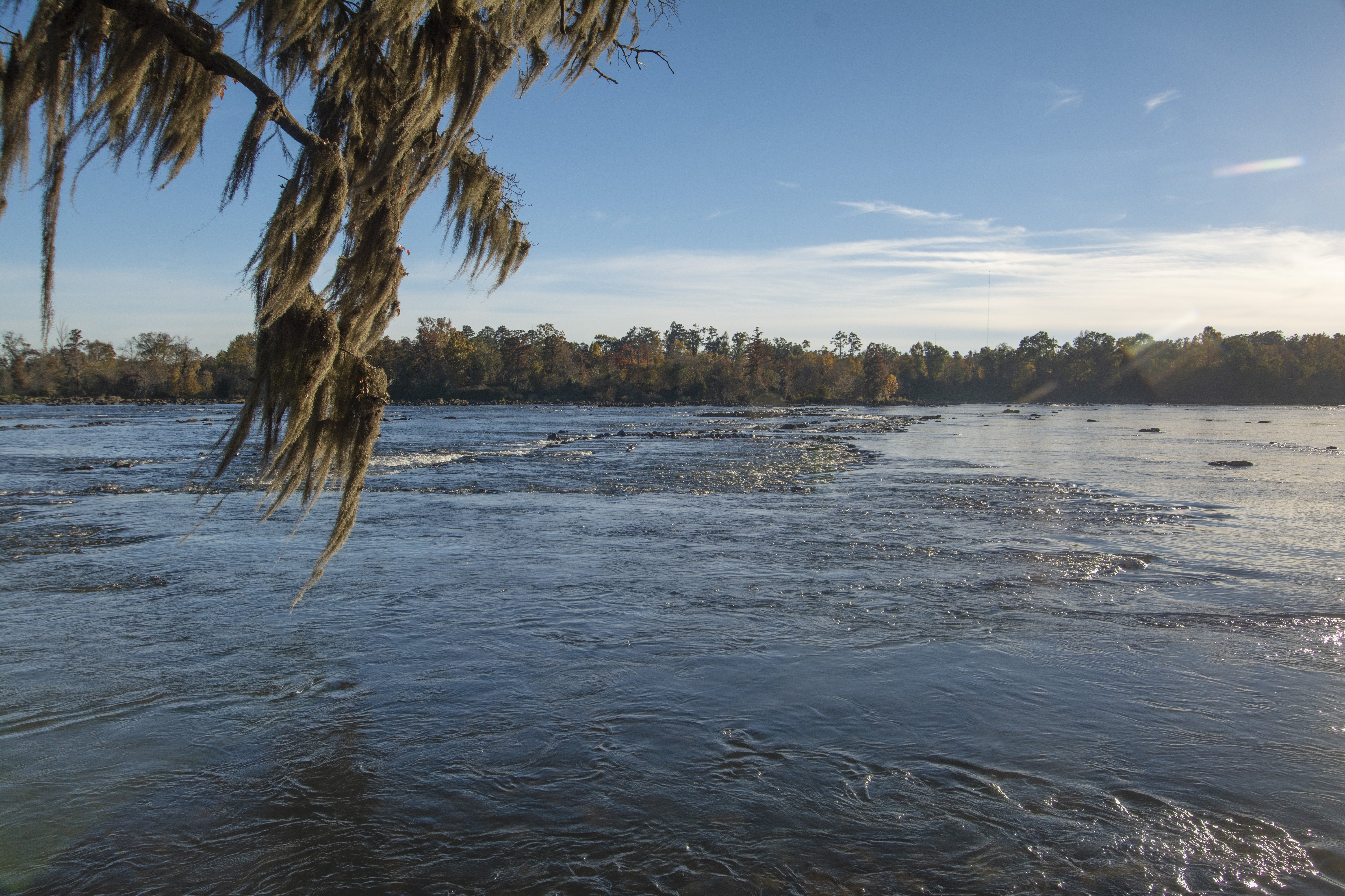 Savannah River, photo by Michael Foster